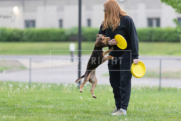 RielVisuals_20260518_185902_SJR_5955