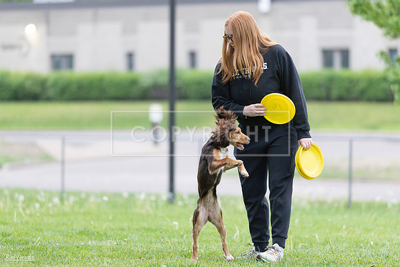 RielVisuals_20260518_185903_SJR_5960