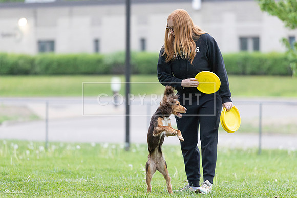 RielVisuals_20260518_185903_SJR_5961