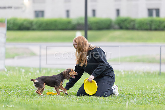RielVisuals_20260518_185934_SJR_6037