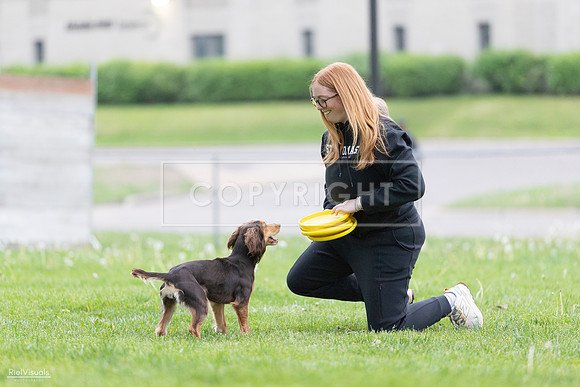 RielVisuals_20260518_190006_SJR_6142