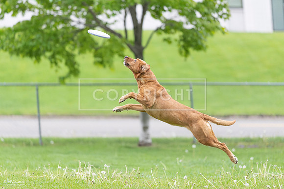 RielVisuals_20260518_190332_SJR_6181