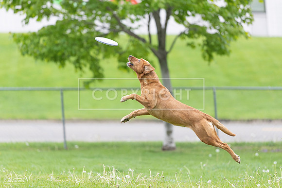 RielVisuals_20260518_190332_SJR_6182