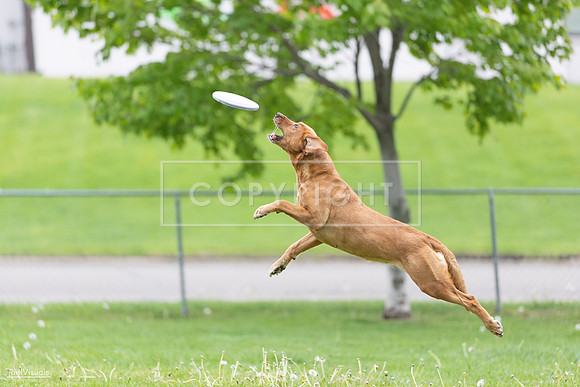 RielVisuals_20260518_190332_SJR_6183