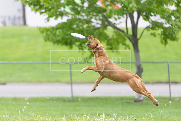 RielVisuals_20260518_190332_SJR_6184