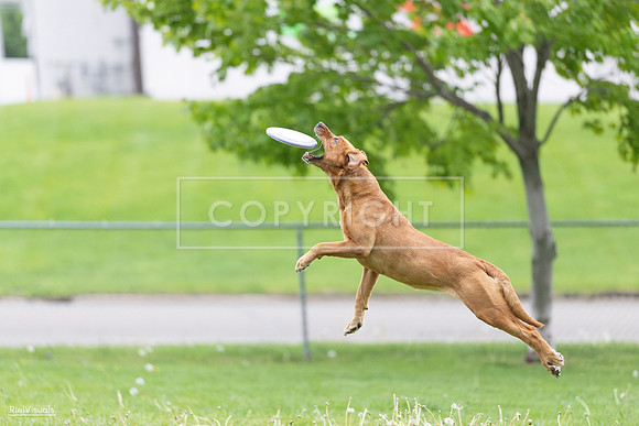 RielVisuals_20260518_190332_SJR_6185
