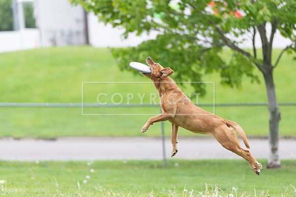 RielVisuals_20260518_190332_SJR_6186