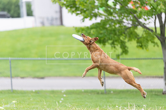 RielVisuals_20260518_190332_SJR_6187