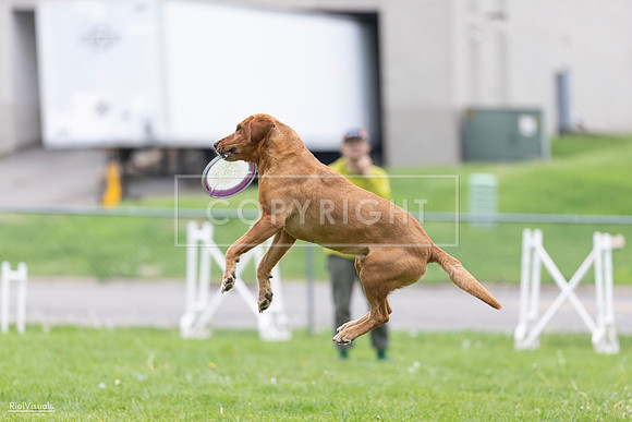 RielVisuals_20260518_190344_SJR_6214
