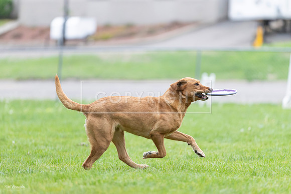 RielVisuals_20260518_190348_SJR_6219