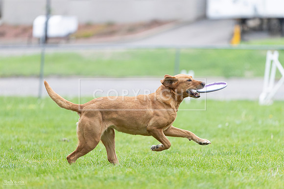 RielVisuals_20260518_190348_SJR_6220