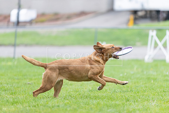 RielVisuals_20260518_190348_SJR_6221