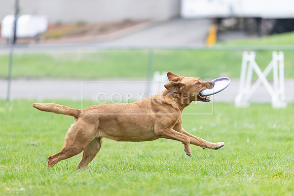 RielVisuals_20260518_190348_SJR_6222