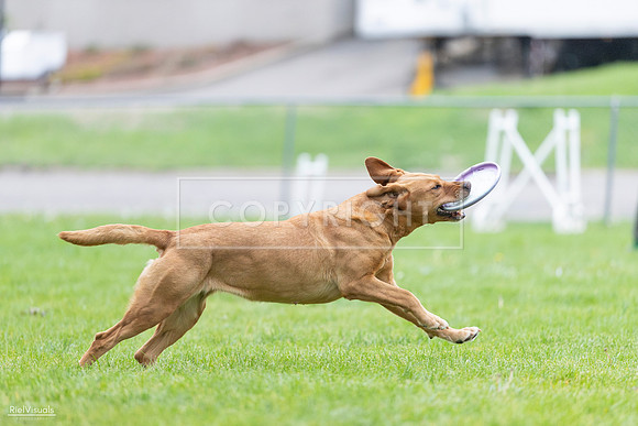 RielVisuals_20260518_190348_SJR_6223