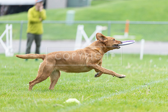 RielVisuals_20260518_190349_SJR_6238