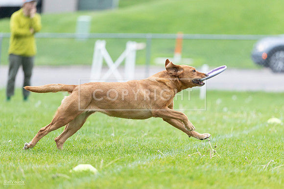 RielVisuals_20260518_190349_SJR_6240