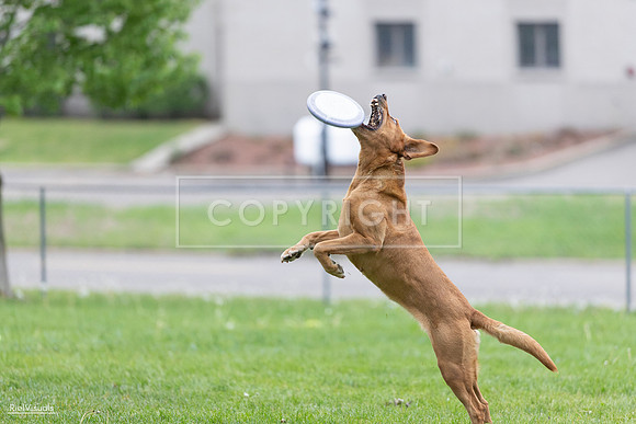 RielVisuals_20260518_190406_SJR_6241