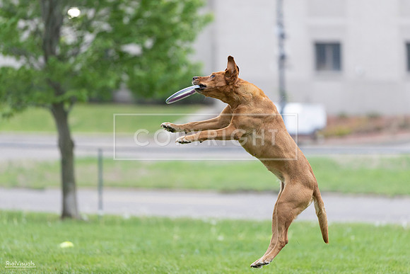 RielVisuals_20260518_190406_SJR_6246