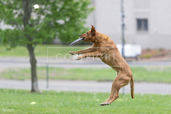 RielVisuals_20260518_190406_SJR_6247