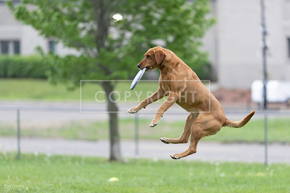 RielVisuals_20260518_190406_SJR_6253