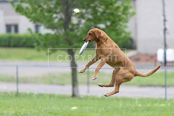 RielVisuals_20260518_190406_SJR_6254