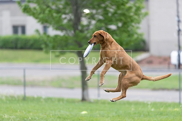 RielVisuals_20260518_190406_SJR_6255