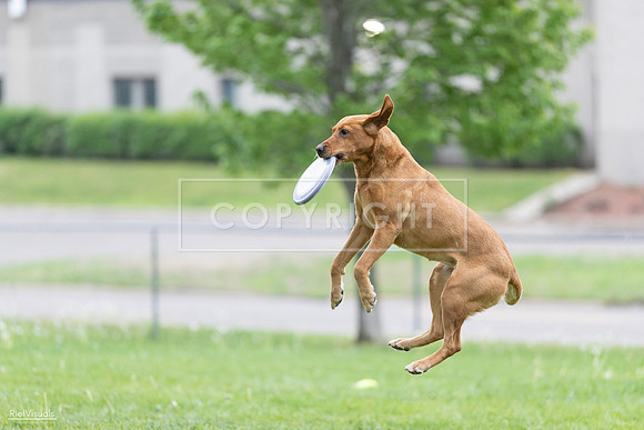 RielVisuals_20260518_190406_SJR_6258