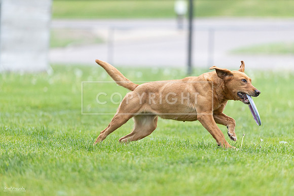 RielVisuals_20260518_190408_SJR_6274