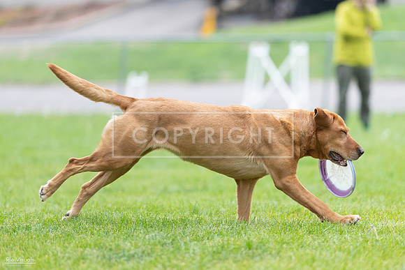 RielVisuals_20260518_190409_SJR_6276