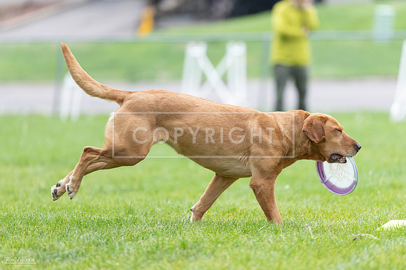 RielVisuals_20260518_190409_SJR_6278