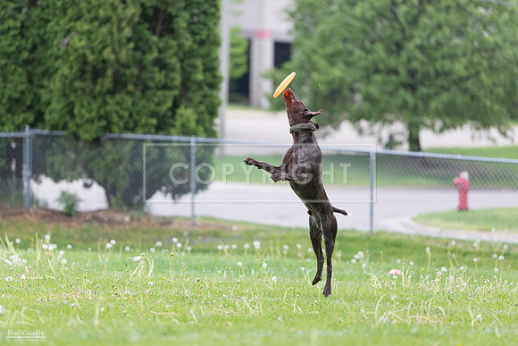 RielVisuals_20260518_190645_SJR_6293