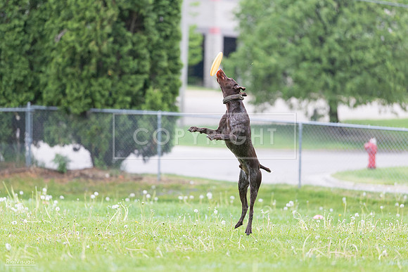 RielVisuals_20260518_190645_SJR_6294