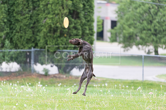 RielVisuals_20260518_190645_SJR_6301