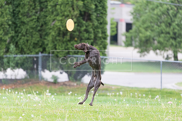 RielVisuals_20260518_190645_SJR_6302