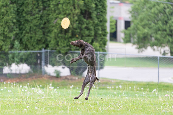 RielVisuals_20260518_190645_SJR_6303