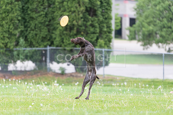 RielVisuals_20260518_190645_SJR_6304