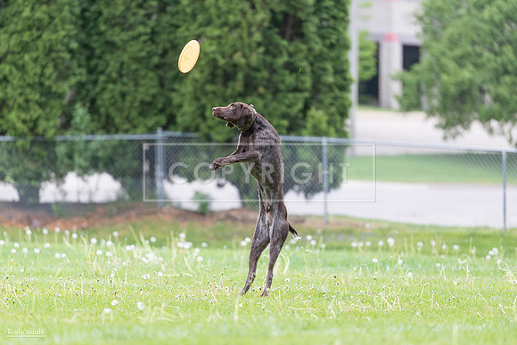 RielVisuals_20260518_190645_SJR_6305