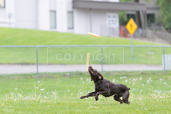 RielVisuals_20260518_190655_SJR_6334