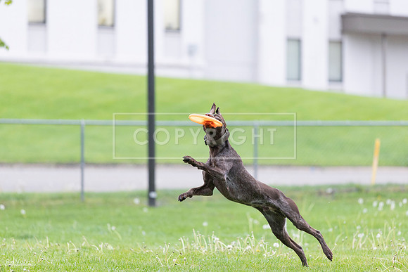 RielVisuals_20260518_190656_SJR_6346