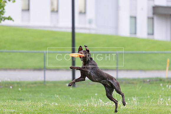 RielVisuals_20260518_190656_SJR_6348