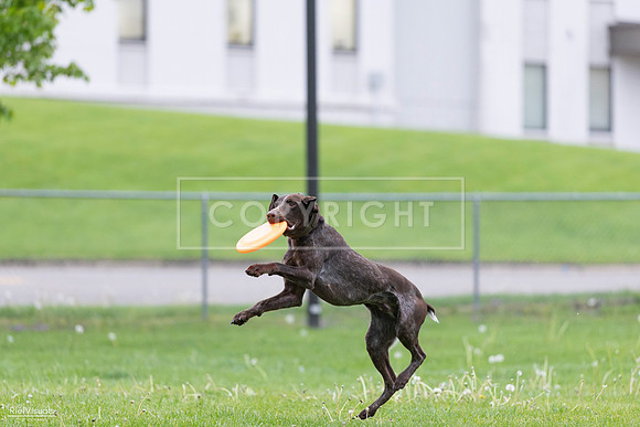 RielVisuals_20260518_190656_SJR_6350