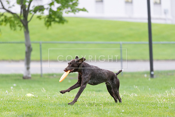 RielVisuals_20260518_190656_SJR_6358