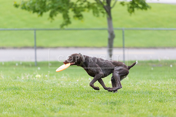 RielVisuals_20260518_190656_SJR_6367