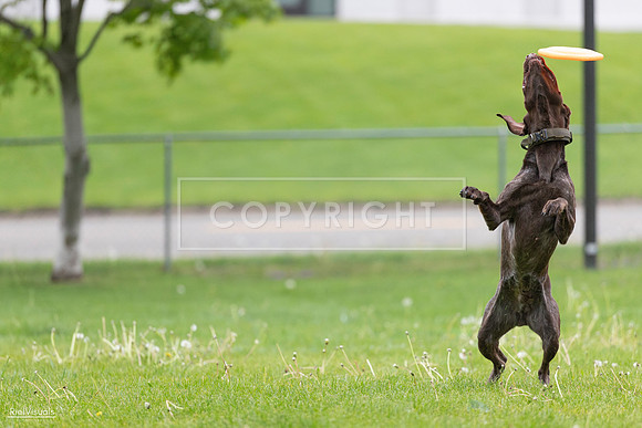 RielVisuals_20260518_190747_SJR_6394