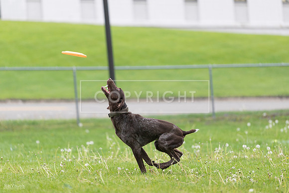 RielVisuals_20260518_190755_SJR_6433