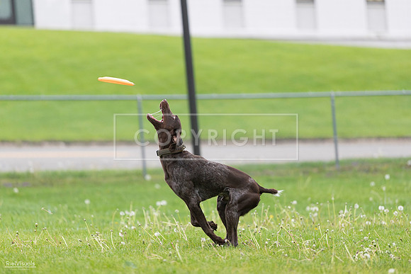 RielVisuals_20260518_190755_SJR_6434
