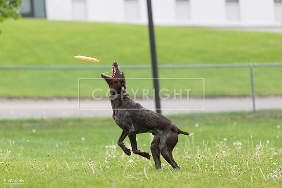 RielVisuals_20260518_190755_SJR_6435