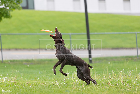 RielVisuals_20260518_190756_SJR_6436