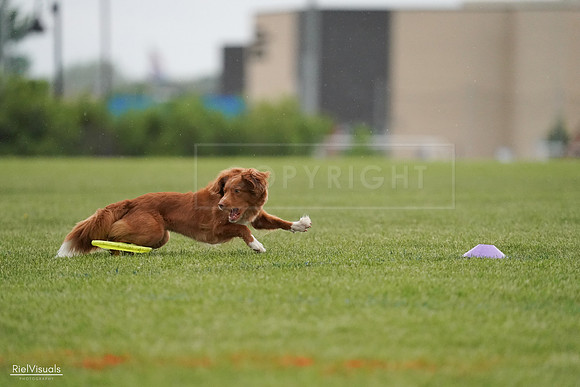 RielVisuals_20240526_093132_SJR00295