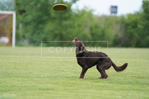 RielVisuals_20240525_162130_SJR04249